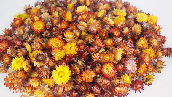 Strohblumen Köpfe - 200 g - Naturfarbe Flamme - Si-nature