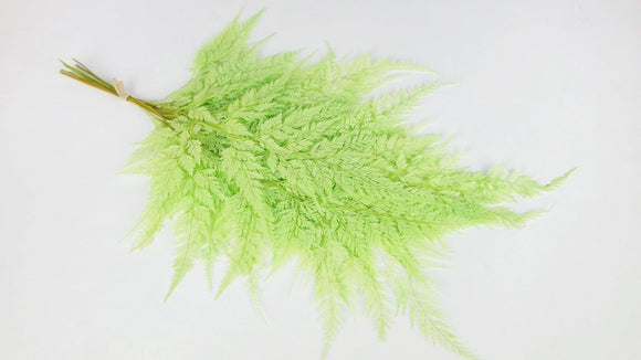 Farn Schneeflocke konserviert - 10 Stiele - Springgrün - Si-nature