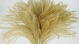 Golden Grass - 20 Stängel - Naturfarbe - Si-nature