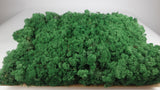 Konserviertes Islandmoos - 5 kg - Grasgrün - Si-nature