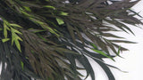 Grevillea konserviert - 1 Strauß - Grün - Si-nature
