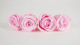 Preserved roses 5,5 cm - 4 rose heads - Light pink