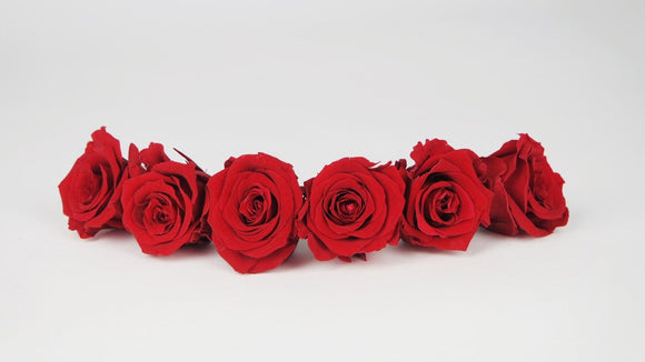 Preserved roses 4,5 cm - 6 rose heads - Light red