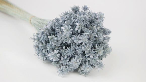 Dried hill flowers - 1 bunch - blue-grey