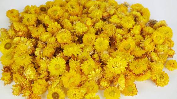 Strohblumen Köpfe - 200 g - Naturfarbe gelb - Si-nature