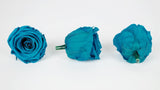 Stabilisierte Rosen Kiara 6 cm - 6 Stück - Aqua marine - Si-nature