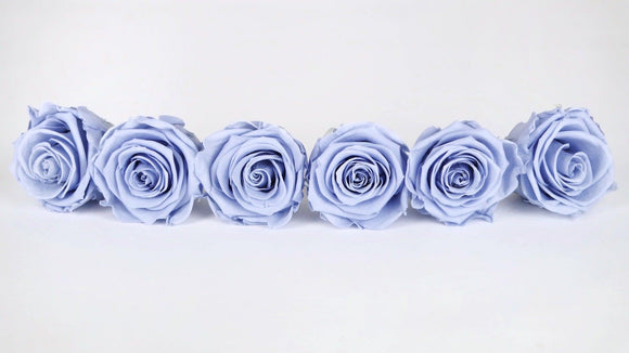 Preserved roses Kiara 6 cm - 6 rose heads - Cool lavender