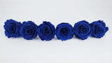 Stabilisierte Rosen Kiara 6 cm - 6 Stück - Ocean blue - Si-nature
