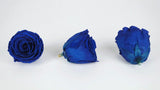 Stabilisierte Rosen Kiara 6 cm - 6 Stück - Ocean blue - Si-nature