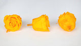 Stabilisierte Rosen Kiara 6 cm - 6 Stück - Sunny yellow - Si-nature