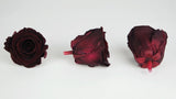 Stabilisierte Rosen Kiara 6 cm - 6 Stück - Bordeaux - Si-nature