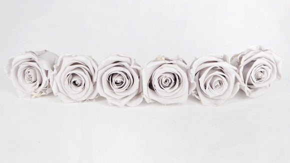 Preserved roses Kiara 6 cm - 6 rose heads - Grey