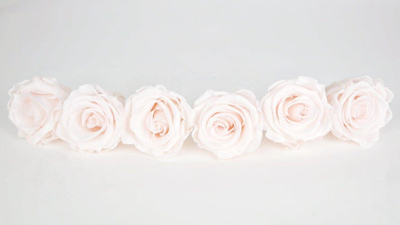 Preserved roses Kiara  6 cm - 6 rose heads - Pink blush