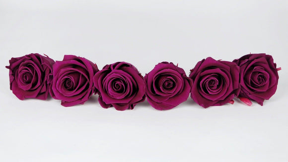 Preserved roses Kiara 6 cm - 6 rose heads - Velvet plum