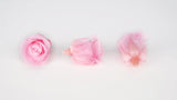 Stabilisierte Rosen Kiara 3 cm - 9 Stück - Bridal pink - Si-nature