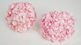 Konservierte Hortensie Kiara - 1 Kopf - Bridal pink - Si-nature