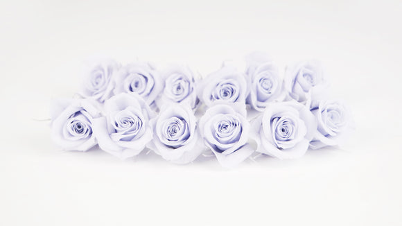 Preserved roses 4 cm - 12 rose heads - Lavender