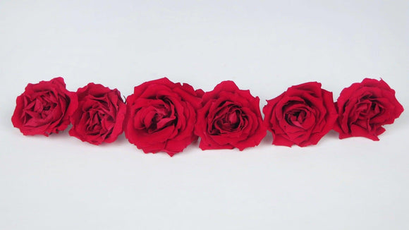 Roses stabilisées Majolica Earth Matters - 6 têtes - Queen red 331