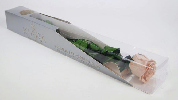 Luxus konservierte Rose mit Stiel 50 cm Kiara - 1 Stück - Nude - Si-nature
