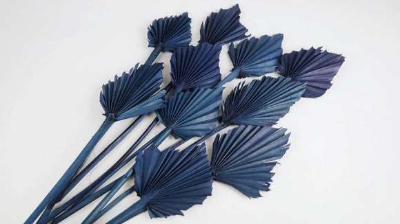 Dried Palm spear S - 10 stems - Night blue