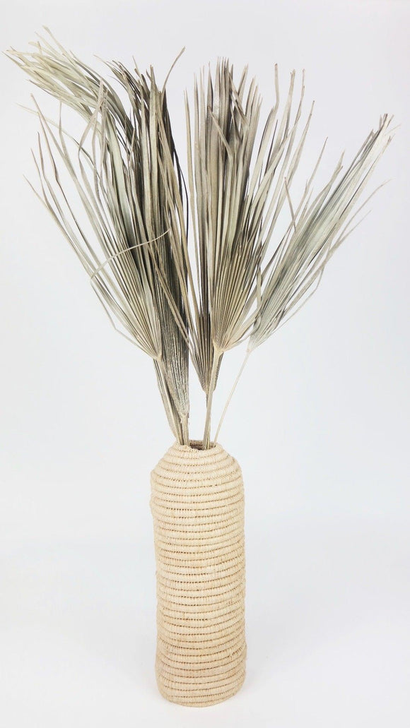 Dried Palm - 6 stems - Natural colour