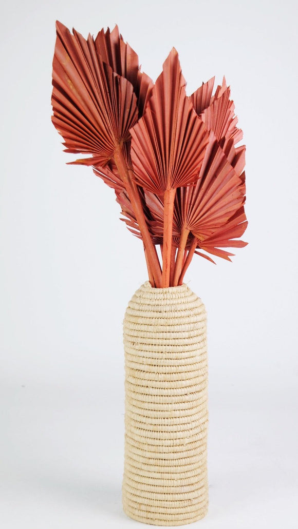 Dried Palm spear M - 10 stems - Terracotta