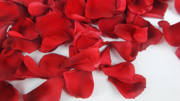 Rose petals - box - Vibrant red