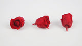 Preserved roses Kiara  2 cm - 12 heads - Vibrant red