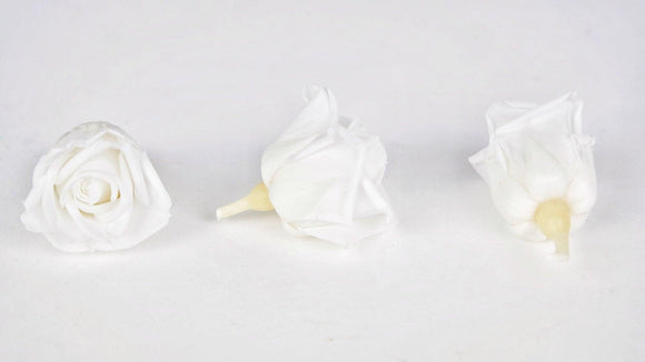 Stabilisierte Rosen Kiara 3 cm - 9 Stück - Pure white - Si-nature
