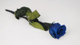 Preserved rose on stem 25 cm - 1 stem - Sapphire blue