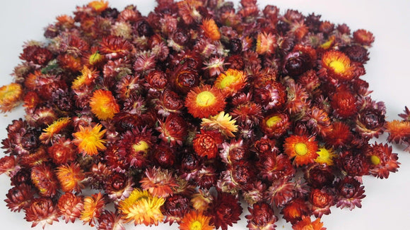 Strohblumen Köpfe - 200 g - Naturfarbe Rot - Si-nature