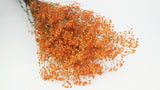 Preserved gypsophila - 1 bunch - Light orange