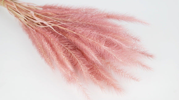 Tail Grass - 1 Bunch - Old pink