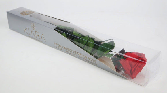 Luxury preserved rose with stem 30 cm Kiara - 25 pieces - Vibrant red