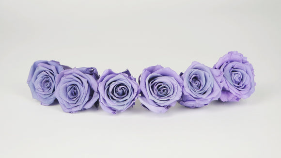 Preserved roses 4,5 cm - 6 rose heads - Vintage purple