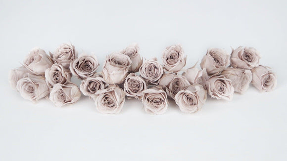 Roses stabilisées Vivian Earth Matters - 24 têtes - Pink beige 081