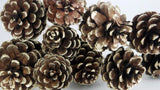 Pine cones - 1 bunch - Natural gold