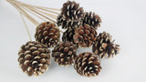 Pine cones - 1 bunch - Natural gold
